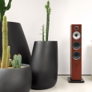 704 S2 Rosenut with Cactus 2