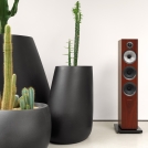 704 S2 Rosenut with Cactus 3