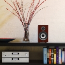 707 S2 Rosenut with Rotel CD14 and A12
