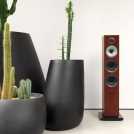 704 S2 Rosenut with Cactus Grilles Off
