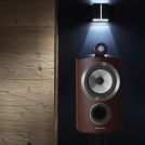 805 D3 Rosenut blue light