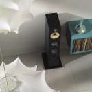 683 black birds eye w/ lamp