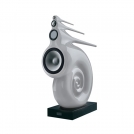 Nautilus White