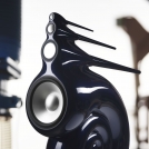 Nautilus