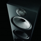 603 Black - Black Background Beauty